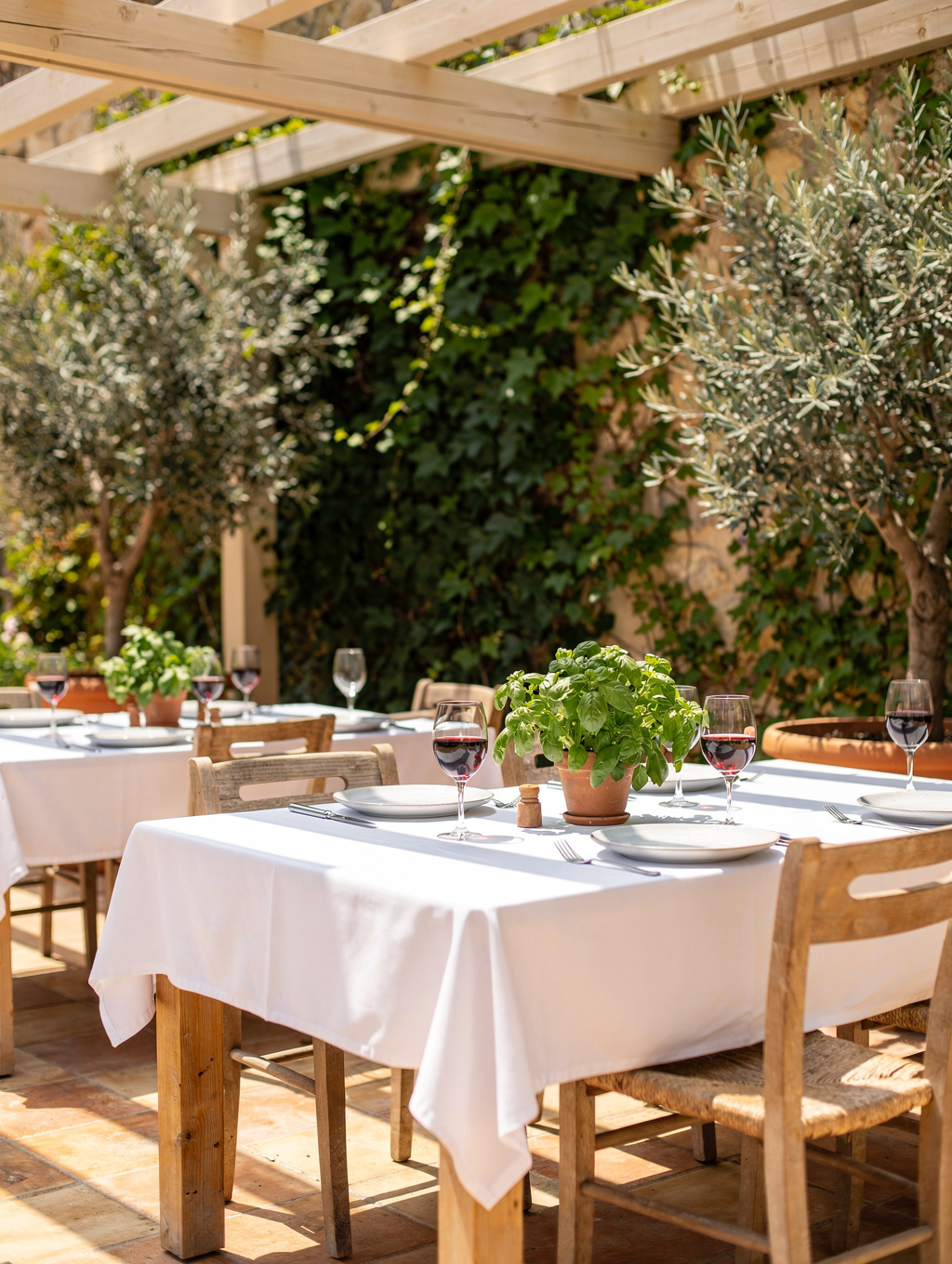Mediterranean outdoor dining terrace shaded by pergolas and olive planters